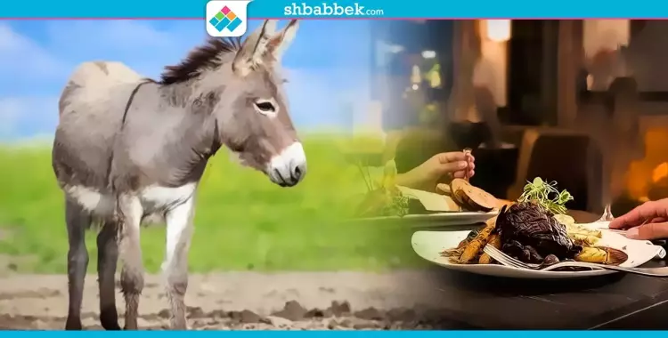 إعلامي شهير يدعو المواطنين إلى تناول لحم الحمير والأحصنة (فيديو)