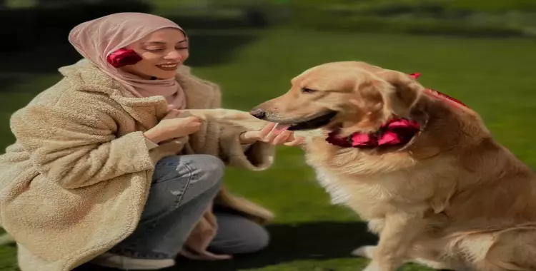 الأنفلونسر إيمان أحمد تنبنى مبادرة لإطعام الكلاب