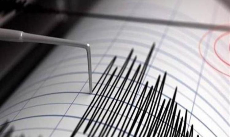  هل حدث زلزال صباح اليوم في القاهرة؟ 