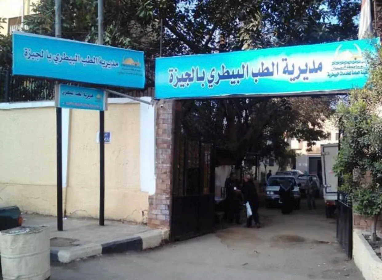 المضبوطات لحوم فاسدة فقط.. الطب البيطري ينفي ضبط لحم كلاب للاستهلاك الآدمي