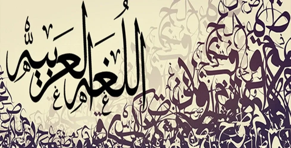 تقييمات الأضواء لغة عربية للصف الثاني الابتدائي شهر أبريل 2026 بالإجابات