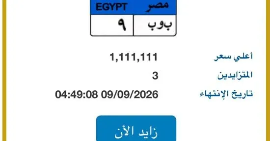 صلت إلى 1,1 مليون جنيه.. طرح لوحة «ب و ب - 9» المميزة في مزاد