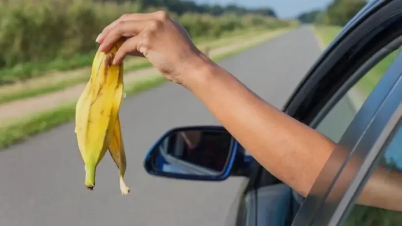 عقوبة إلقاء المخلفات في الشارع.. قانون المرور الجديد يكشف