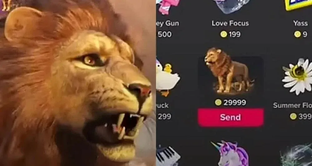 أسعار هدايا التيك توك بالمصري.. بكام الحوت والأسد؟