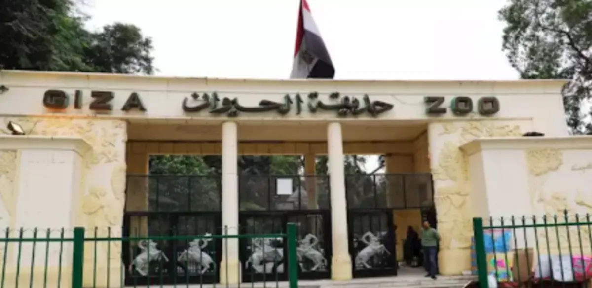 محرقة للأسود والنمور أم آليات قتل رحيم..ماذا يجري بحديقة الحيوان؟