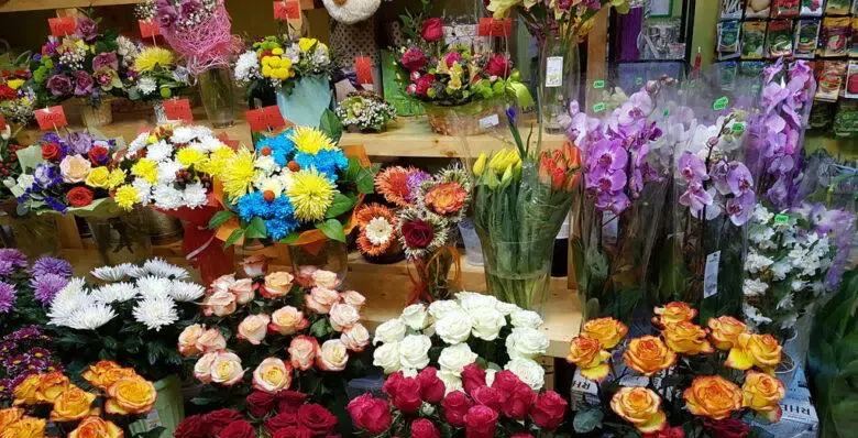 يقدم محل لبيع الزهور ٧ زهرات إضافية للمشتري إذا اشترى عددا من الزهور يفوق ٥٠ زهرة.. ما عدد الزهور التي يحصل عليها المشتري إذا طلب ٥٥ ، ٥٦ ، ٥٧ زهرة؟