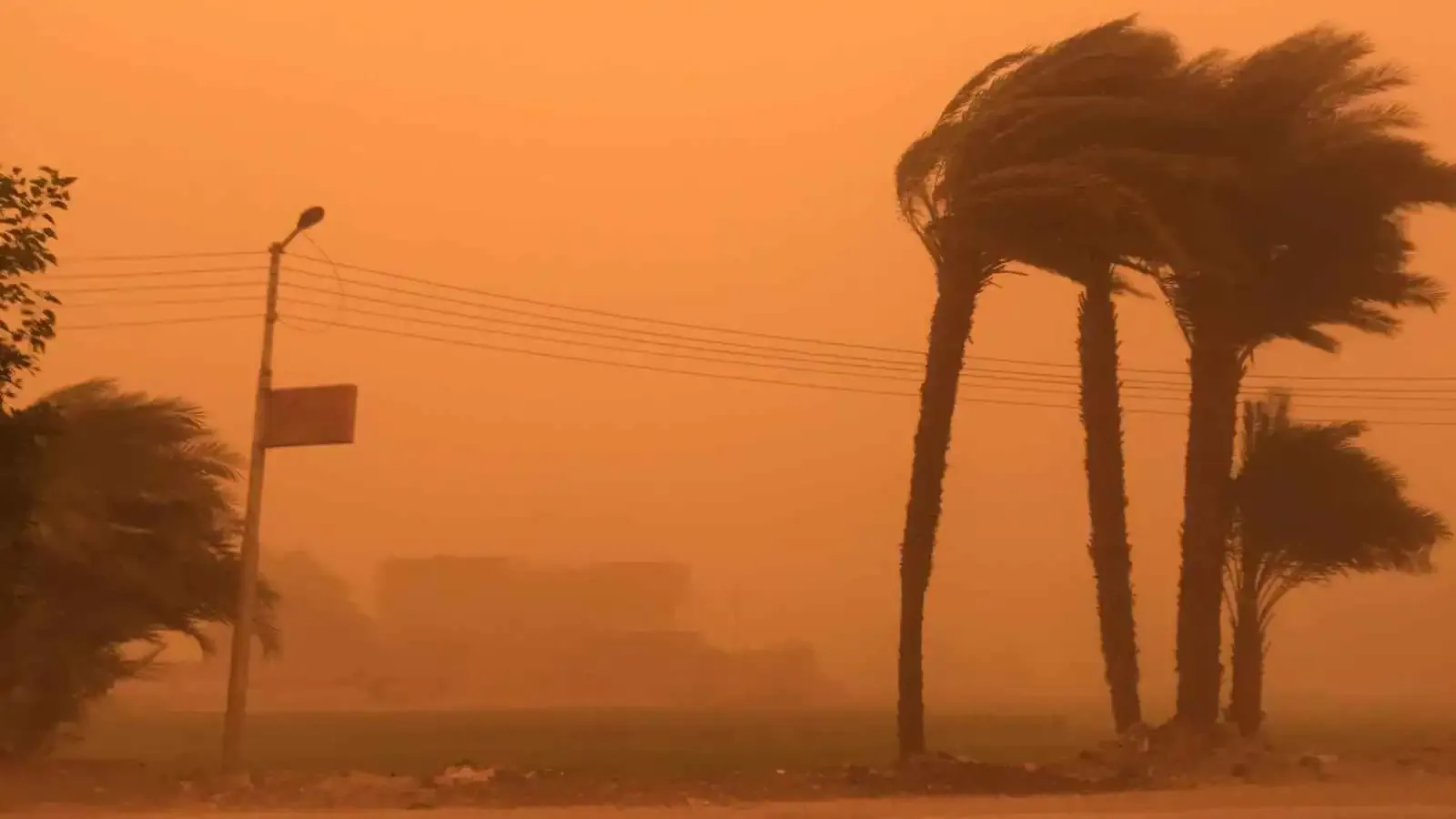 موعد انتهاء رياح الخماسين في مصر الخميس 2026