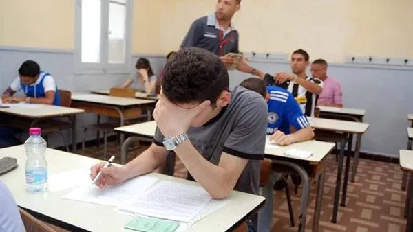 منهج البرمجه تانية بكالوريا 2026 2027.. حمل المحتوى من هنا