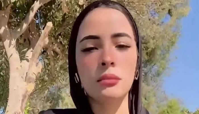 يوسف السوري.. جولة في حساب زوج دينا عزت الذي زعمت حبسه ظلما