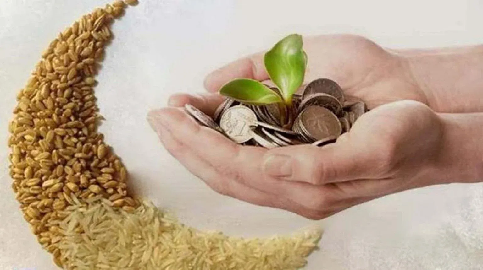 الزكاة كام السنة دي 2026 للفرد الواحد الرسمية