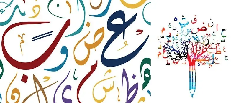 تحضير الأسبوع الثاني لغة عربية للصف الأول الإعدادي الترم الأول 2027