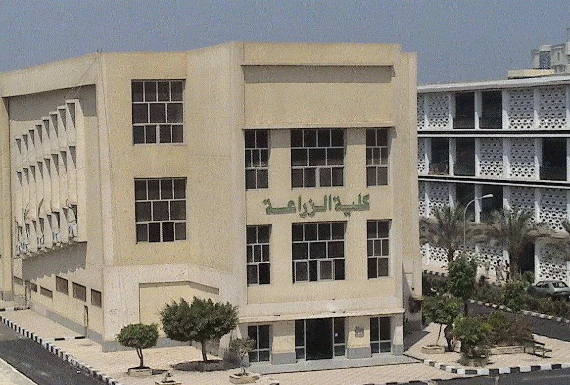 نتيجة كلية الزراعة جامعة الزقازيق الترم الثاني 2026 بالرابط.. متاحة الآن