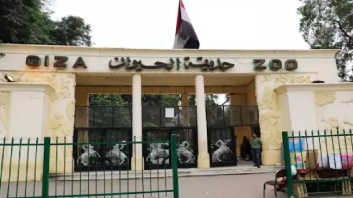 موعد فتح حديقة حيوان الجيزة رسميًا