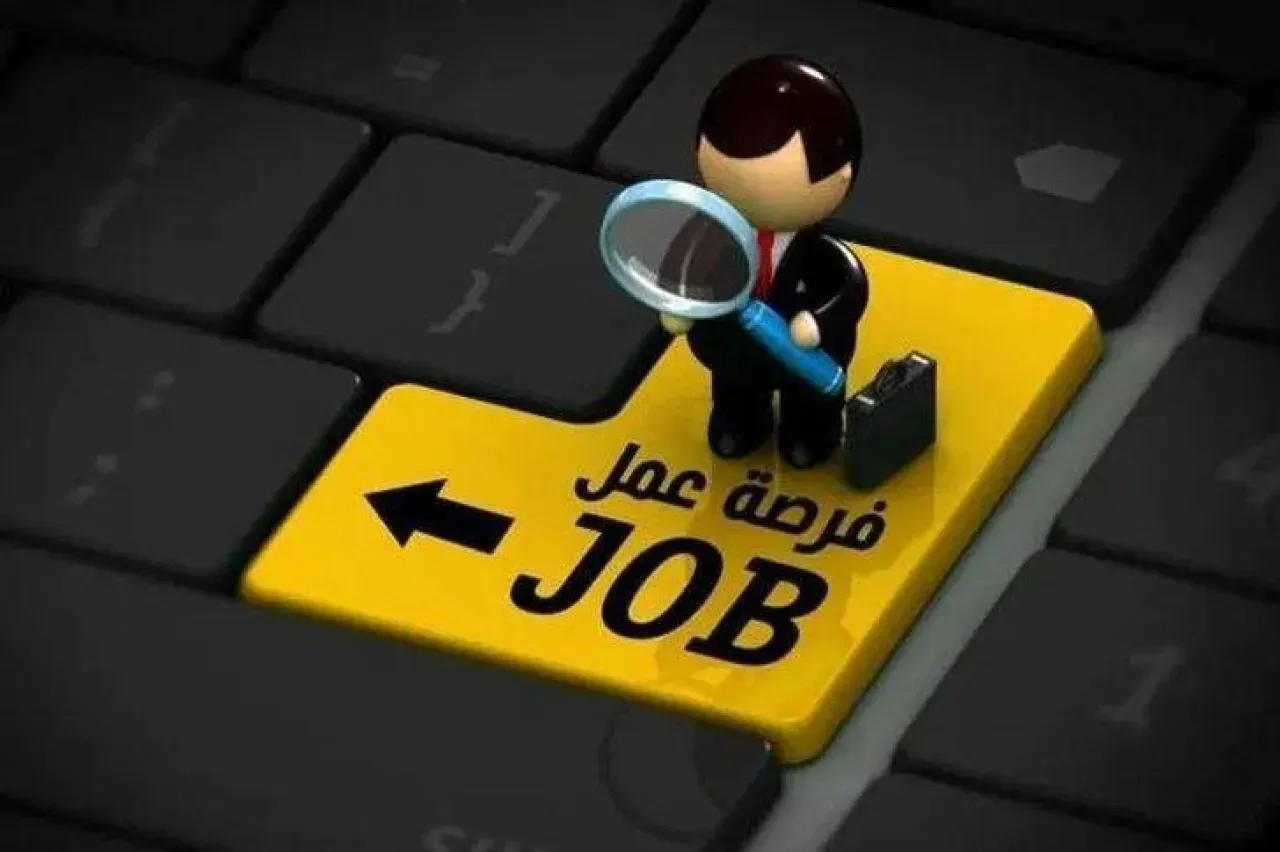 رسميا.. رابط التقديم على وظائف وزارة التنمية المحلية والبيئة 2026