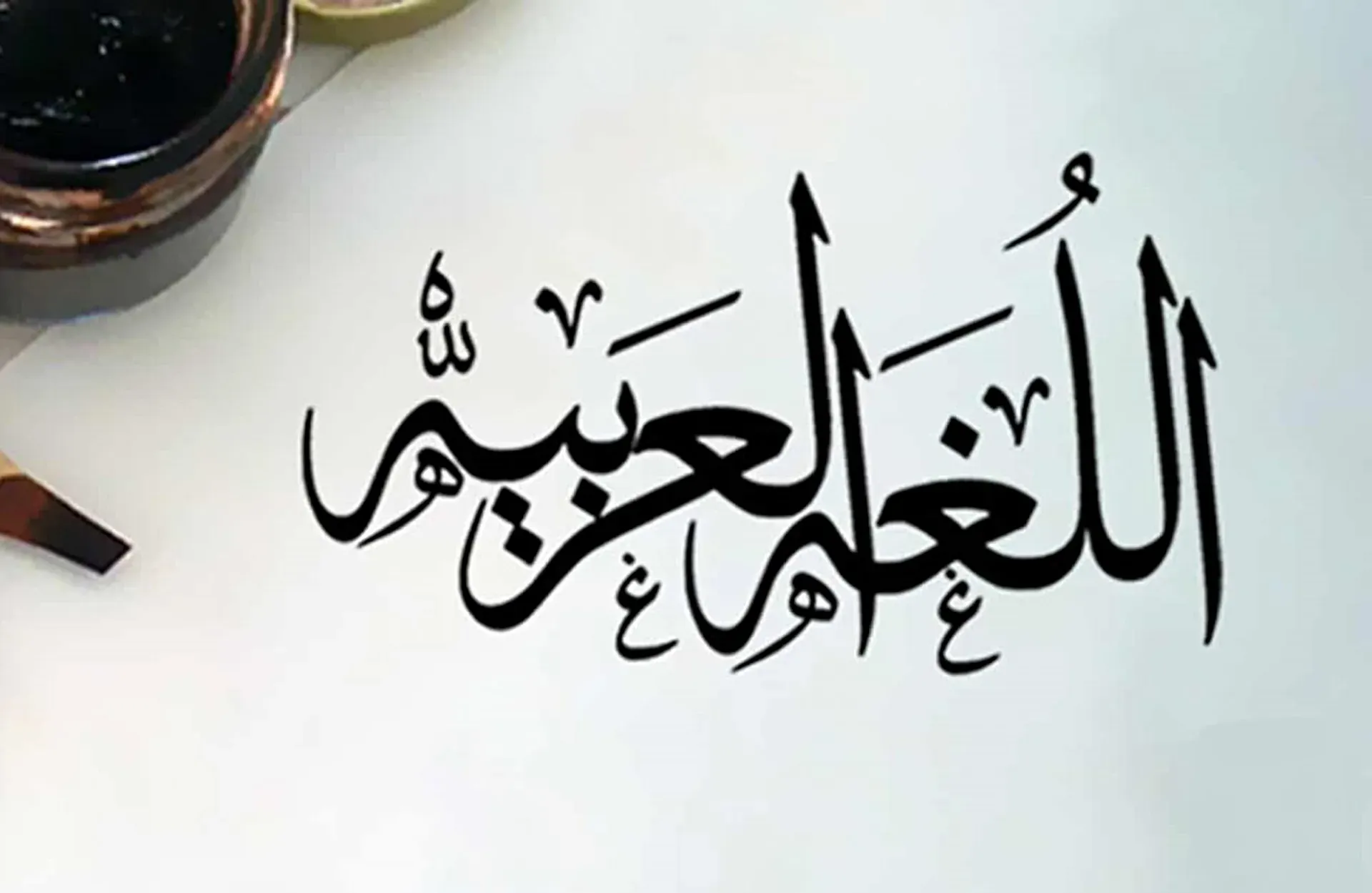 امتحانات الأضواء لغة عربية تانية إعدادي شهر أبريل 2026 بالإجابات