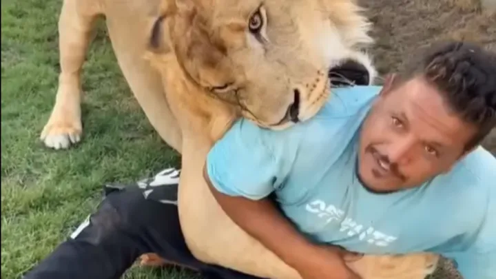 ليبي يطلق أسدًا على عامل مصري بحجة المزاح.. المعلقون: استهتار بحياة البشر (فيديو)