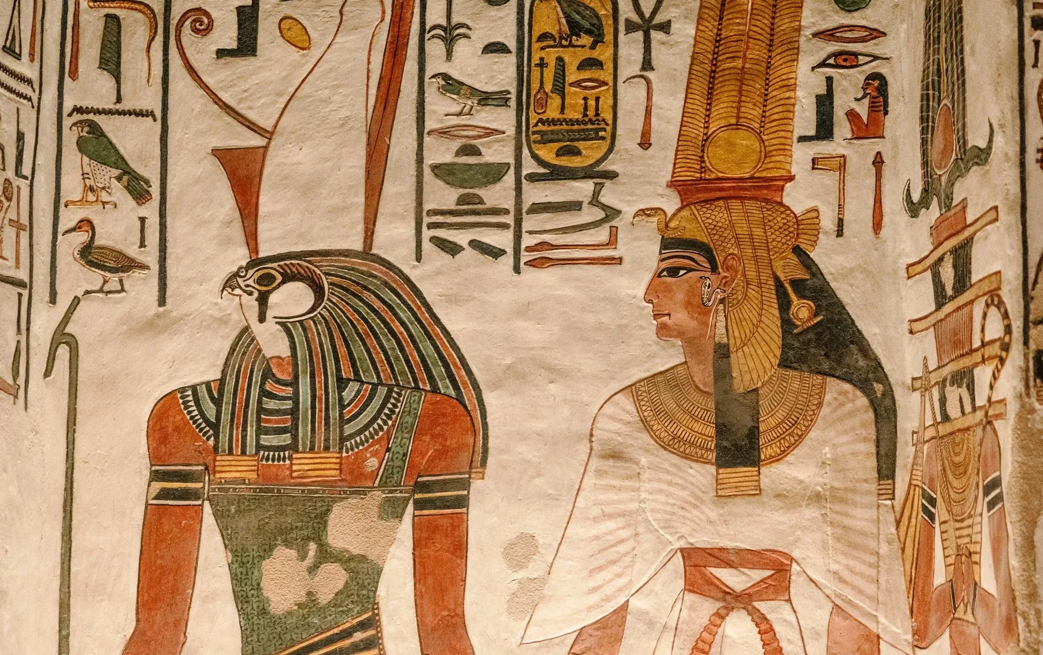 امتحانات قطر الندى للصف الخامس الابتدائي  الترم الأول  دراسات 2026