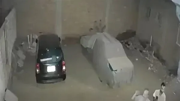 زوجة تنقذ زوجها قبل ضربه على طريقة المصارعة الحرة (فيديو)