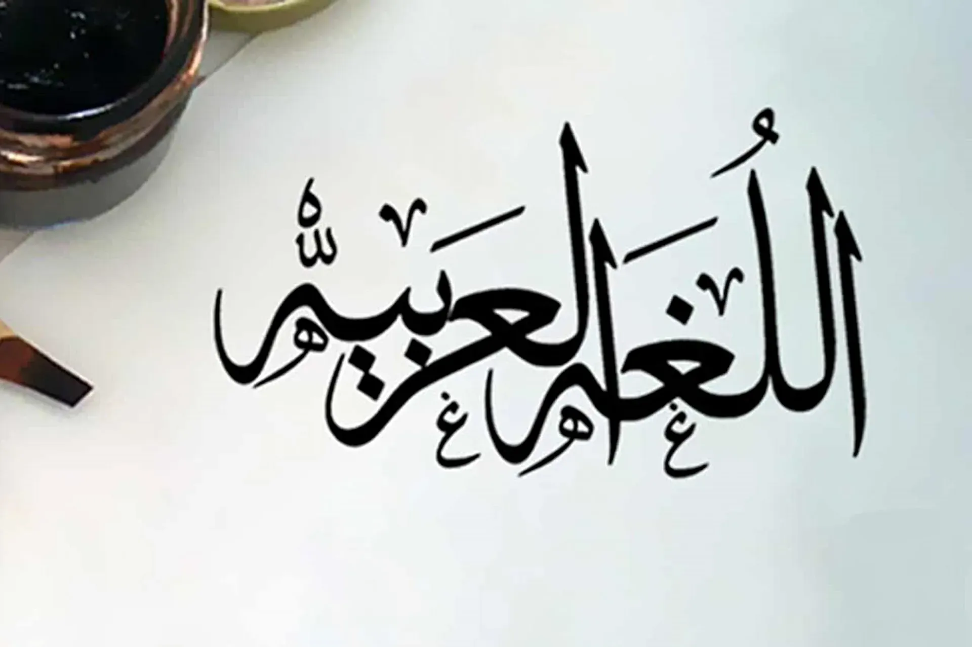 امتحانات الأضواء لغة عربية للصف الخامس الابتدائي شهر أبريل 2026 بالإجابات