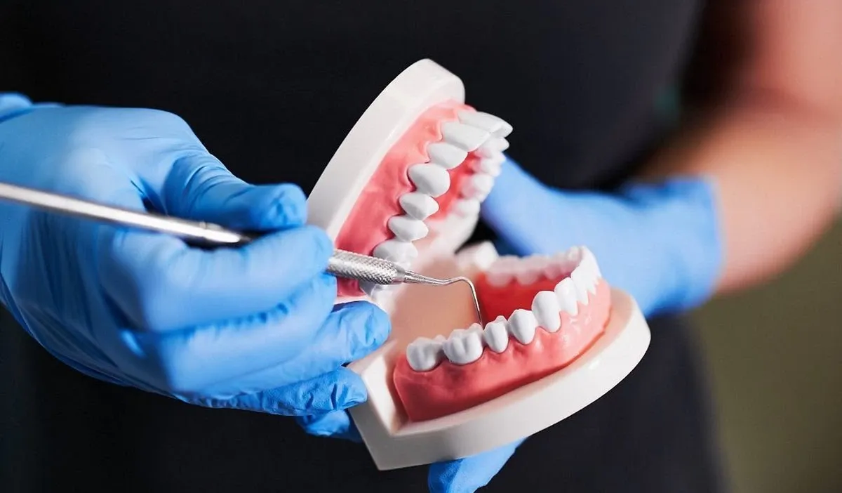 عدد المقبولين في كليات طب الأسنان 2025 في تنسيق علمي علوم