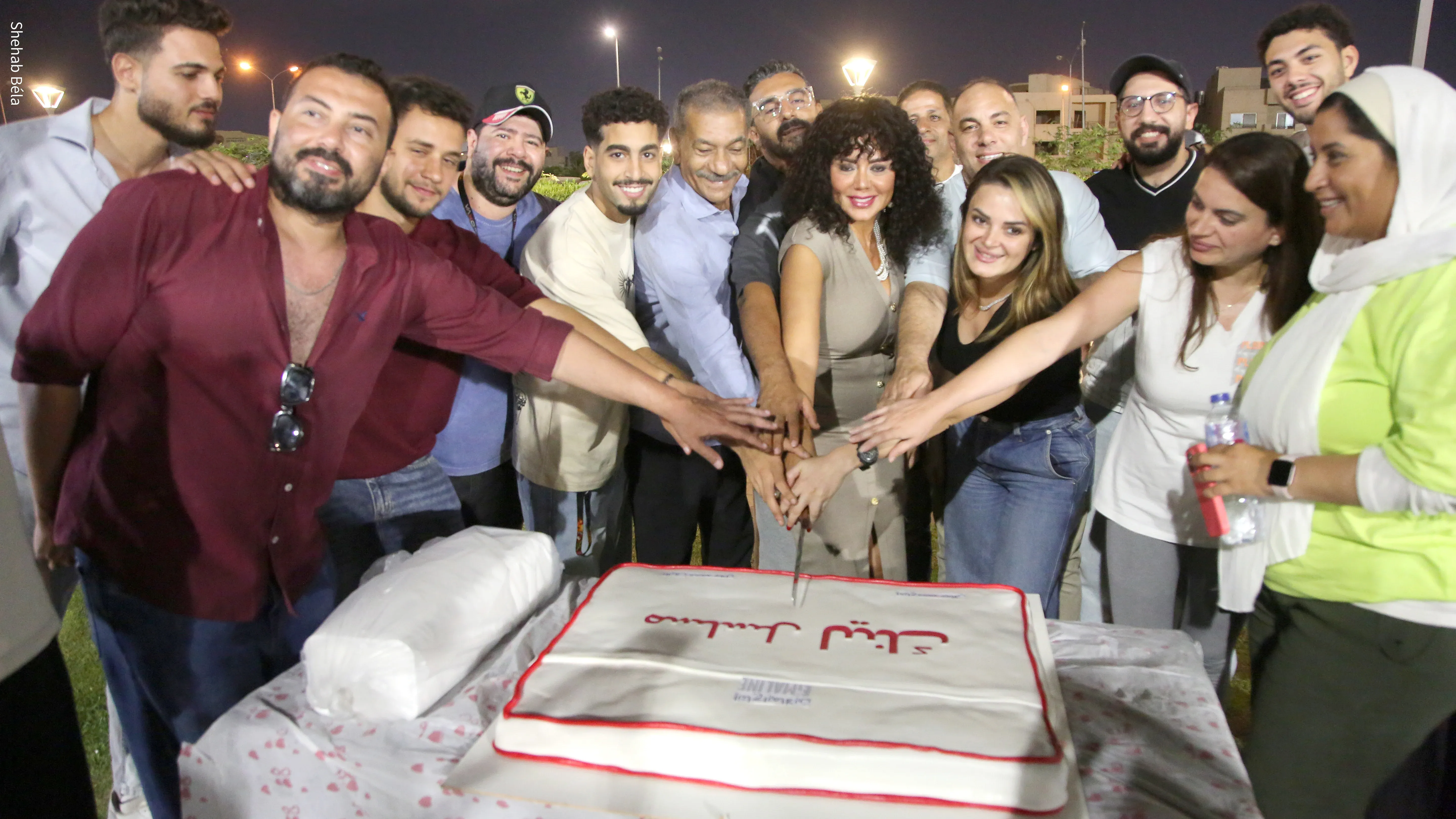عدد حلقات مسلسل لينك كام حلقة؟