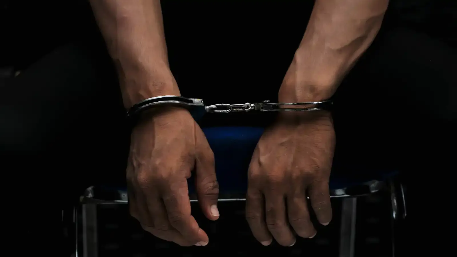 ضبط 3 أشخاص في الغربية بتهمة قطع الأشجار وبيع أخشابها لتاجر