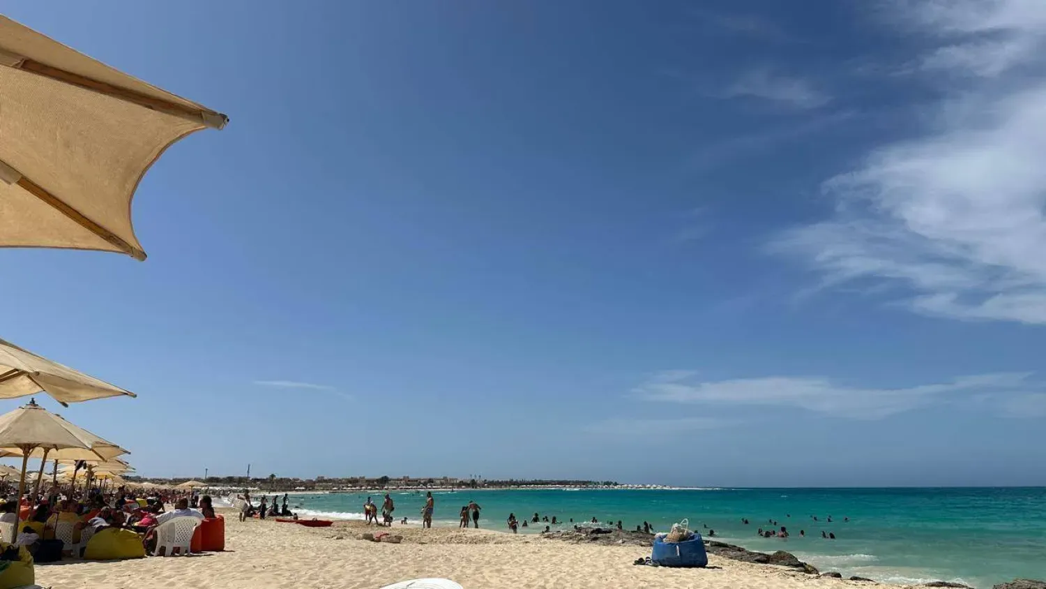 تحذيرات من مياه بحر الساحل الشمالي.. ماذا يحدث؟