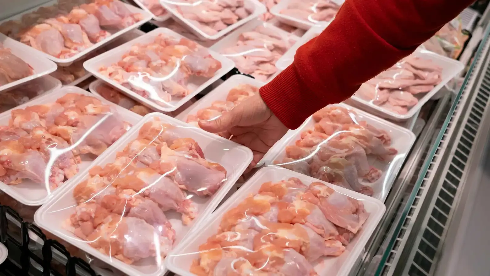 حظر تداور هياكل الدواجن باعتبارها مخلفات ولا تصلح للاستهلاك الآدمي