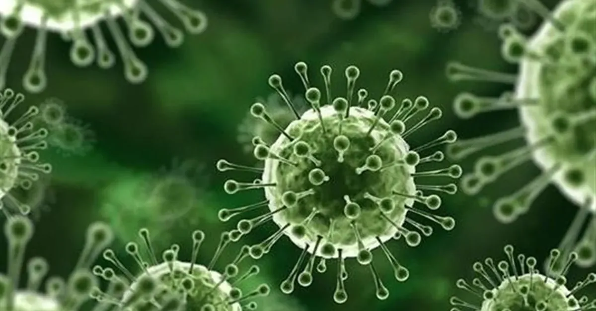 فيروس نيباه.. ما نعرفه عن المرض المنتشر بالهند الذي يهدد العالم