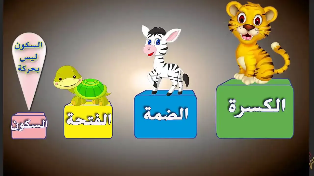 قطع نحو للصف السادس الابتدائي الترم الأول  pdf 2026