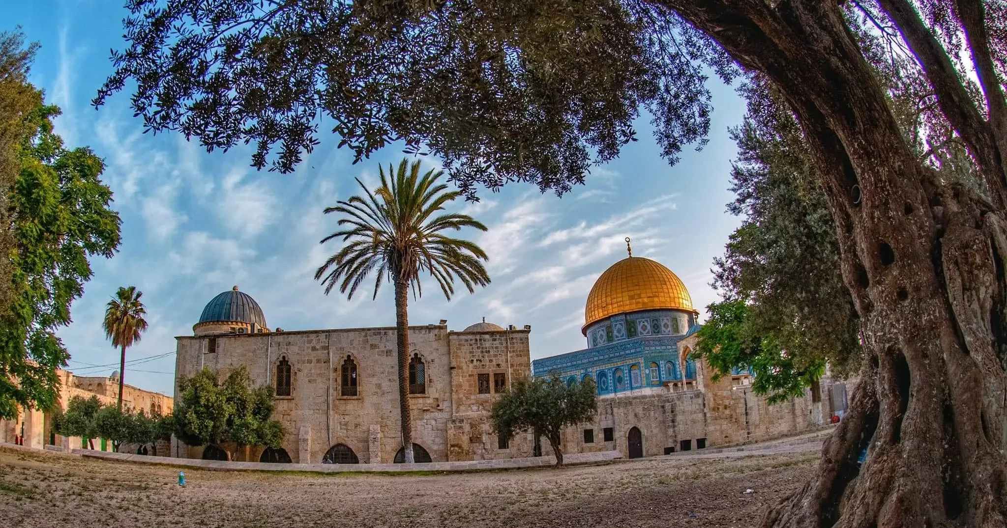 إجازات 2026 في فلسطين.. صمود الهوية في المناسبات الوطنية