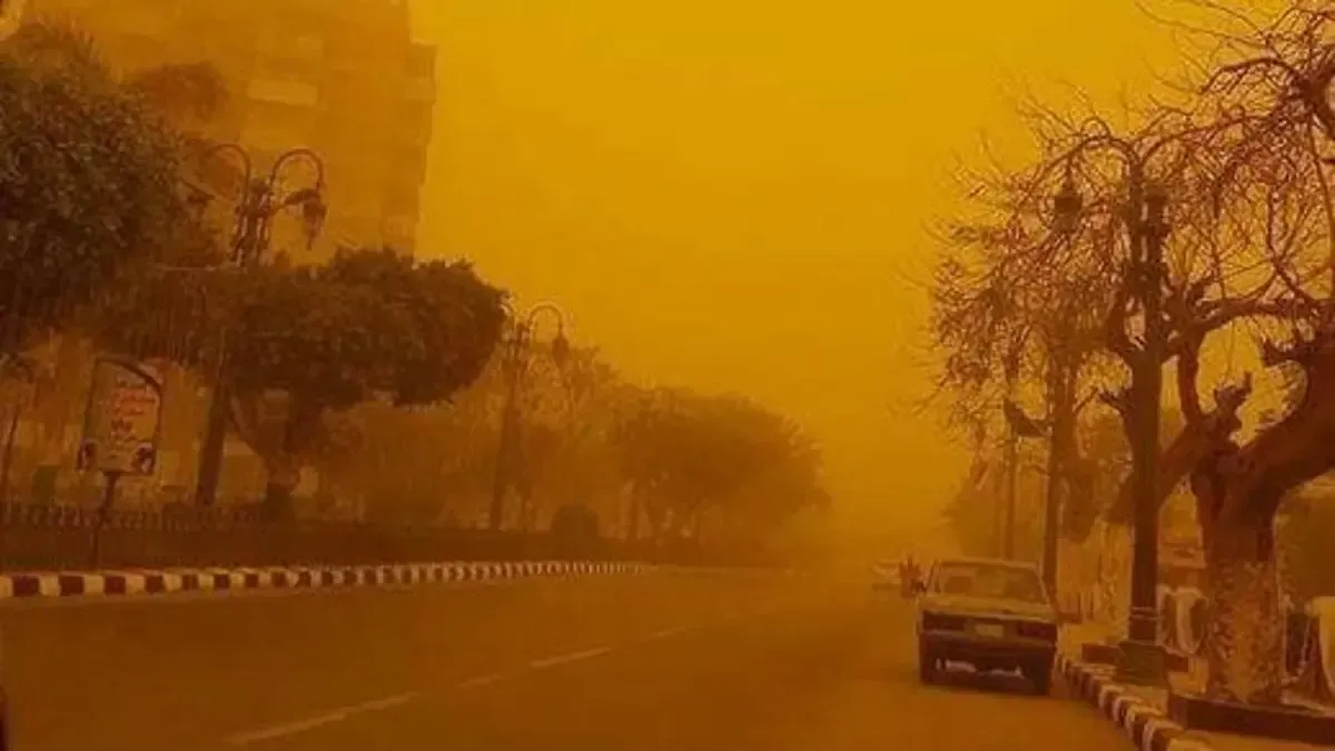 وفاة مسن إثر سقوط نخلة بسبب الطقس السيئ في الغربية