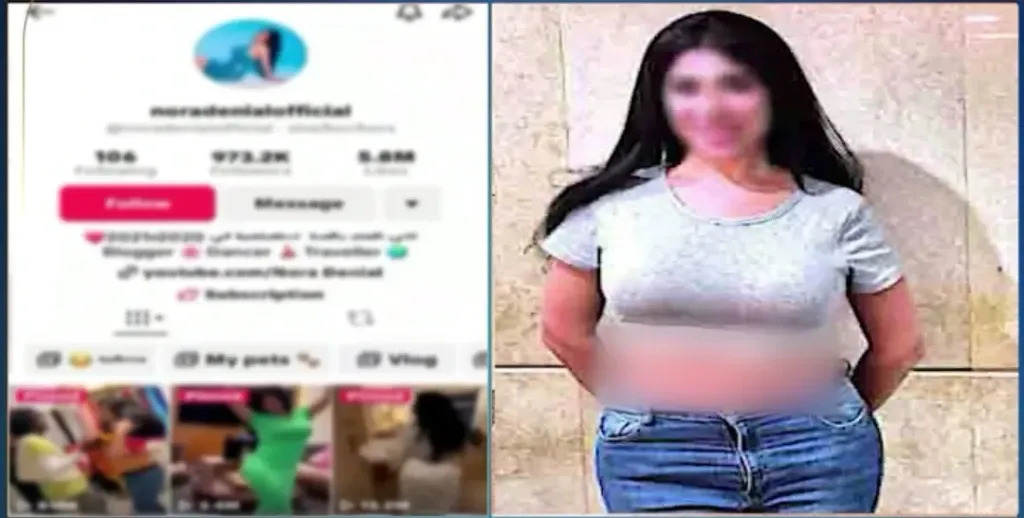 القبض على الراقصة نورا دانيال.. الداخلية تكشف الملابسات والتهمة