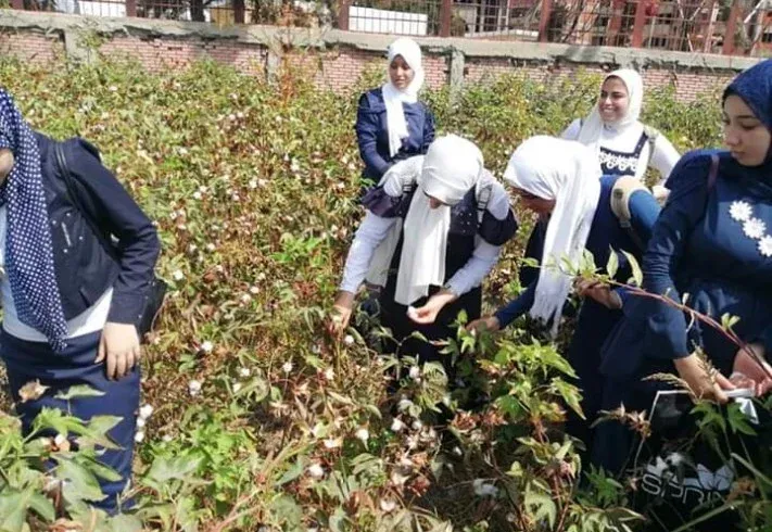 أماكن مدارس مستقبل مصر المصرية الإيطالية 2026 بـ14 محافظة بالجمهورية