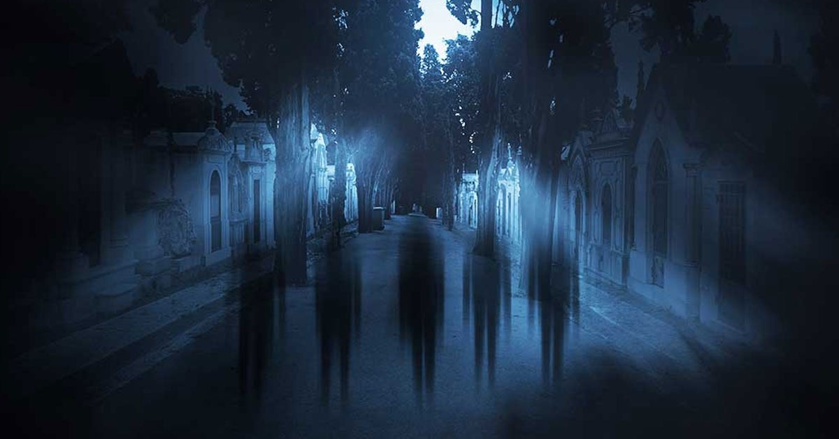 RÃ©sultat de recherche d'images pour "â«Ø§ÙØ§Ø´Ø¨Ø§Ø­ Ø§ÙÙØ§Ø¯ÙØ©â¬â"