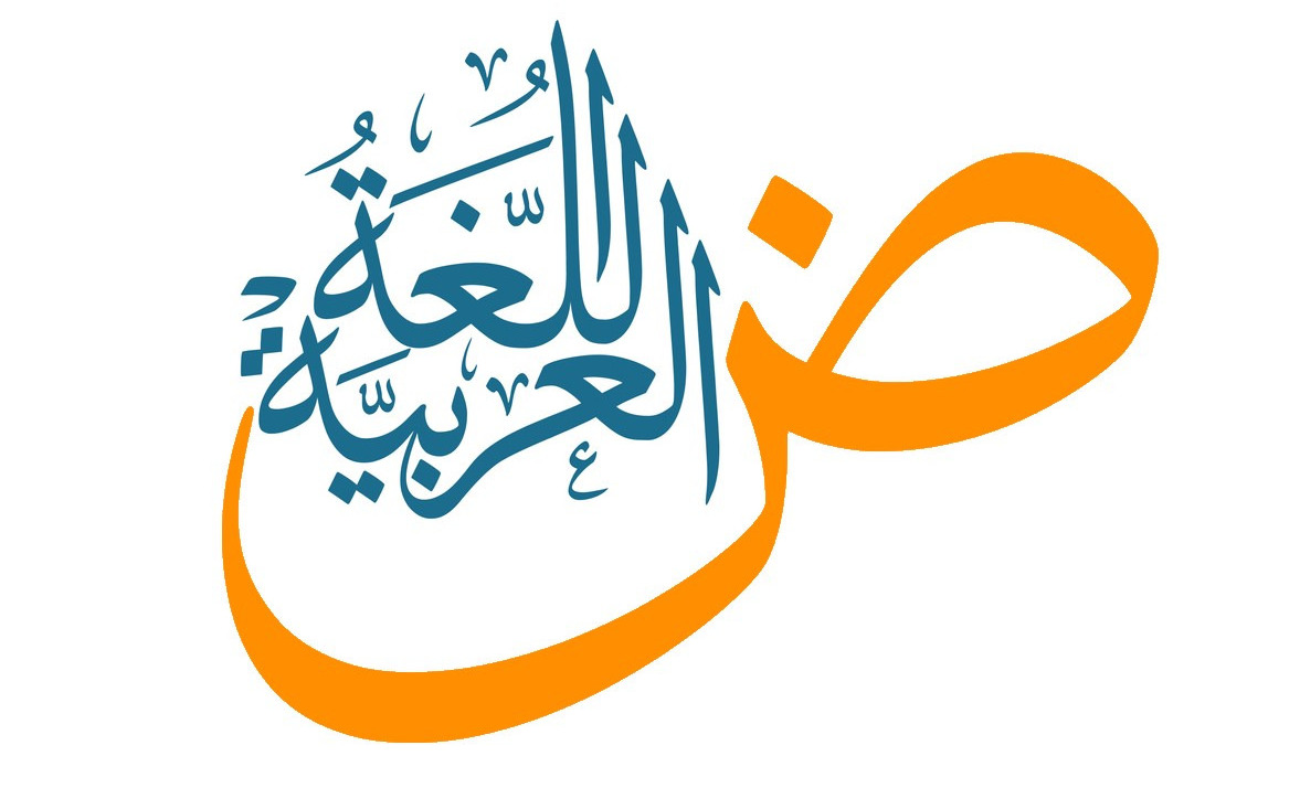  مراجعة لغة عربية للصف الثالث الابتدائي الترم الثاني pdf 
