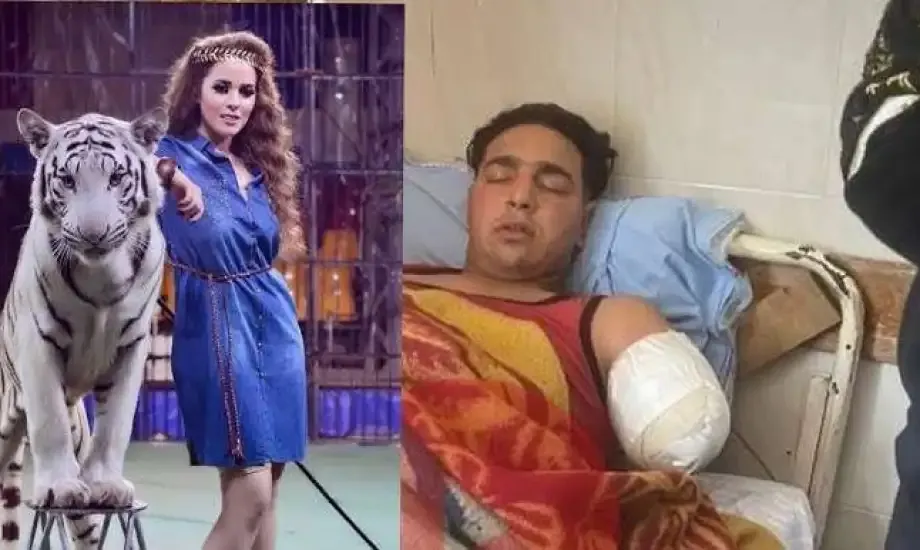 بعد رفض الاستئناف.. تأييد حبس أنوسة كوتة مدربة الأسود ودفع تعويض للعامل