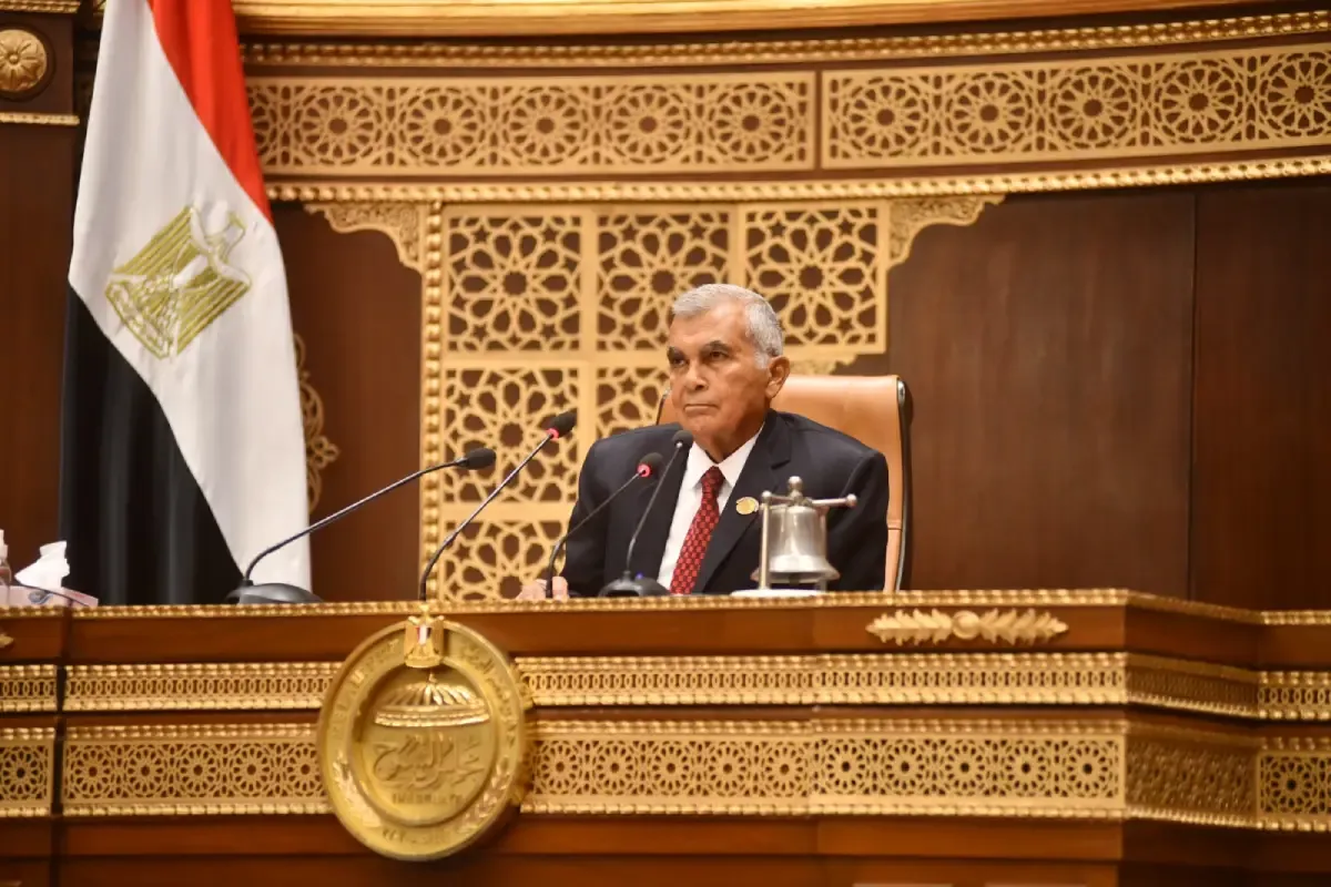 من هو عصام الدين فريد رئيس مجلس الشيوخ الجديد؟