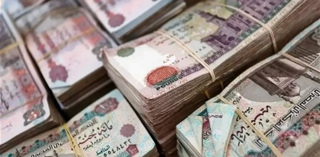 متوسط الرواتب في مصر 2026 لكل فئات الوظائف