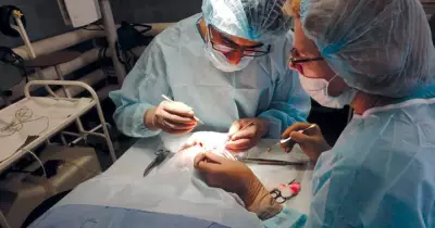 40 وظيفة شاغرة للأطباء بمستشفى جامعة الأزهر في 21 تخصص