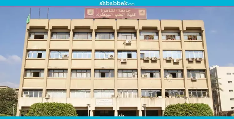  59 طالبا ترشحوا لانتخابات اتحاد كلية طب بيطري جامعة القاهرة 