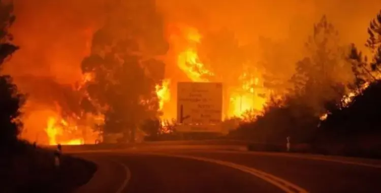 60 حريق في أسوأ كارثة تشهدها البرتغال 
