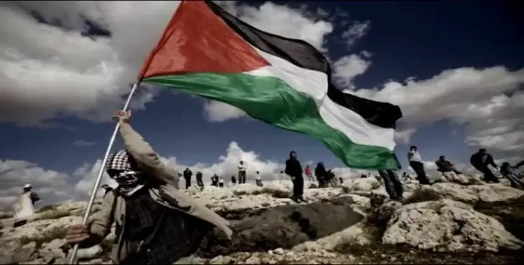  6 أسباب وراء تراجع التفاعل العربي مع القضية الفلسطينية 