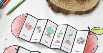 مطوية دورة حياة النبات للصف الثالث.. كاملة وجاهزة