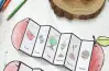 مطوية دورة حياة النبات للصف الثالث.. كاملة وجاهزة