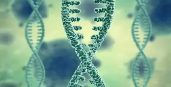 كتاب التفوق أحياء للصف الثالث الثانوي 2027 pdf الجزء الثاني
