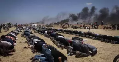 اتحاد طلاب جامعة المنوفية: تخاذل العرب سبب عدوان إسرائيل على فلسطين