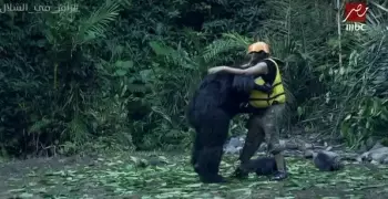 رامز جلال: شذى حسون رابطة بنطلونها بسلبة (فيديو)