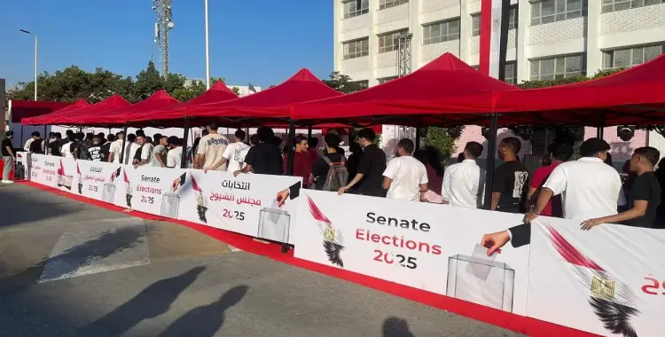  نتيجة انتخابات مجلس الشيوخ 2025.. الجدول الكامل لإعلان التشكيل النهائي 