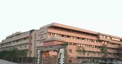 بمشاركة كندية.. معهد «تيودور بلهارس» ينظم المؤتمر الأول للمسالك البولية